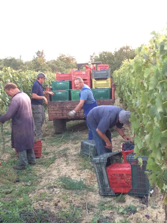 Agriturismo Podere San Gregorio بيينْسا المظهر الخارجي الصورة