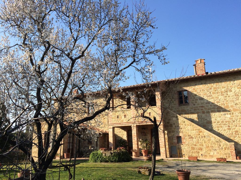 Agriturismo Podere San Gregorio بيينْسا المظهر الخارجي الصورة