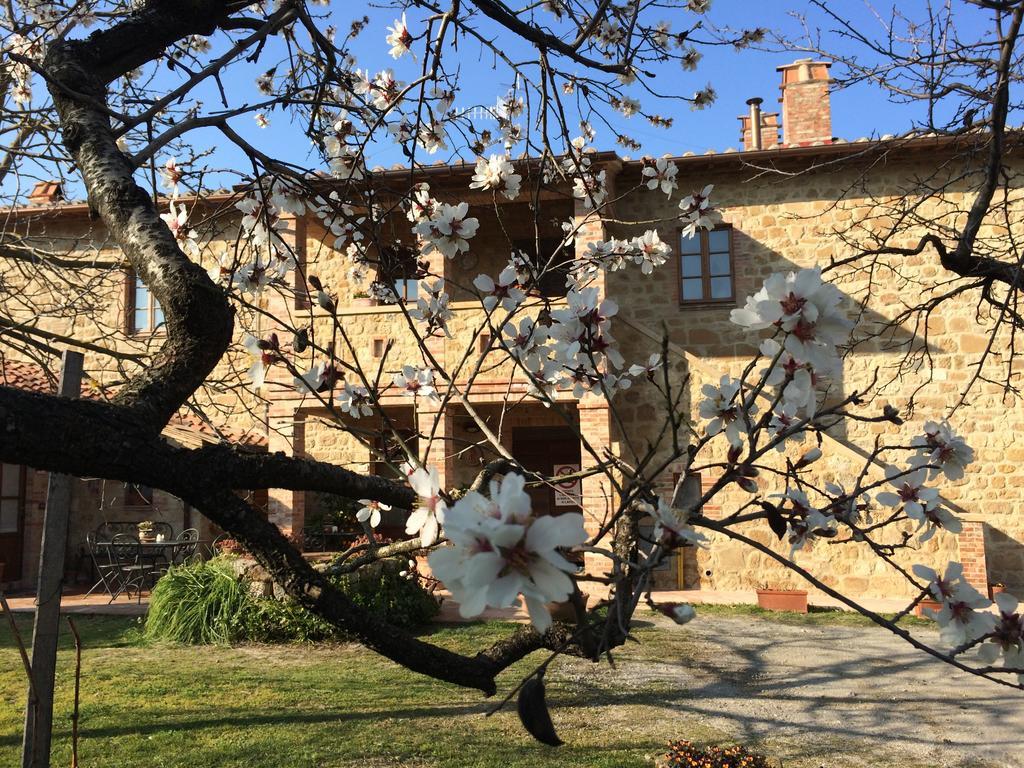 Agriturismo Podere San Gregorio بيينْسا المظهر الخارجي الصورة